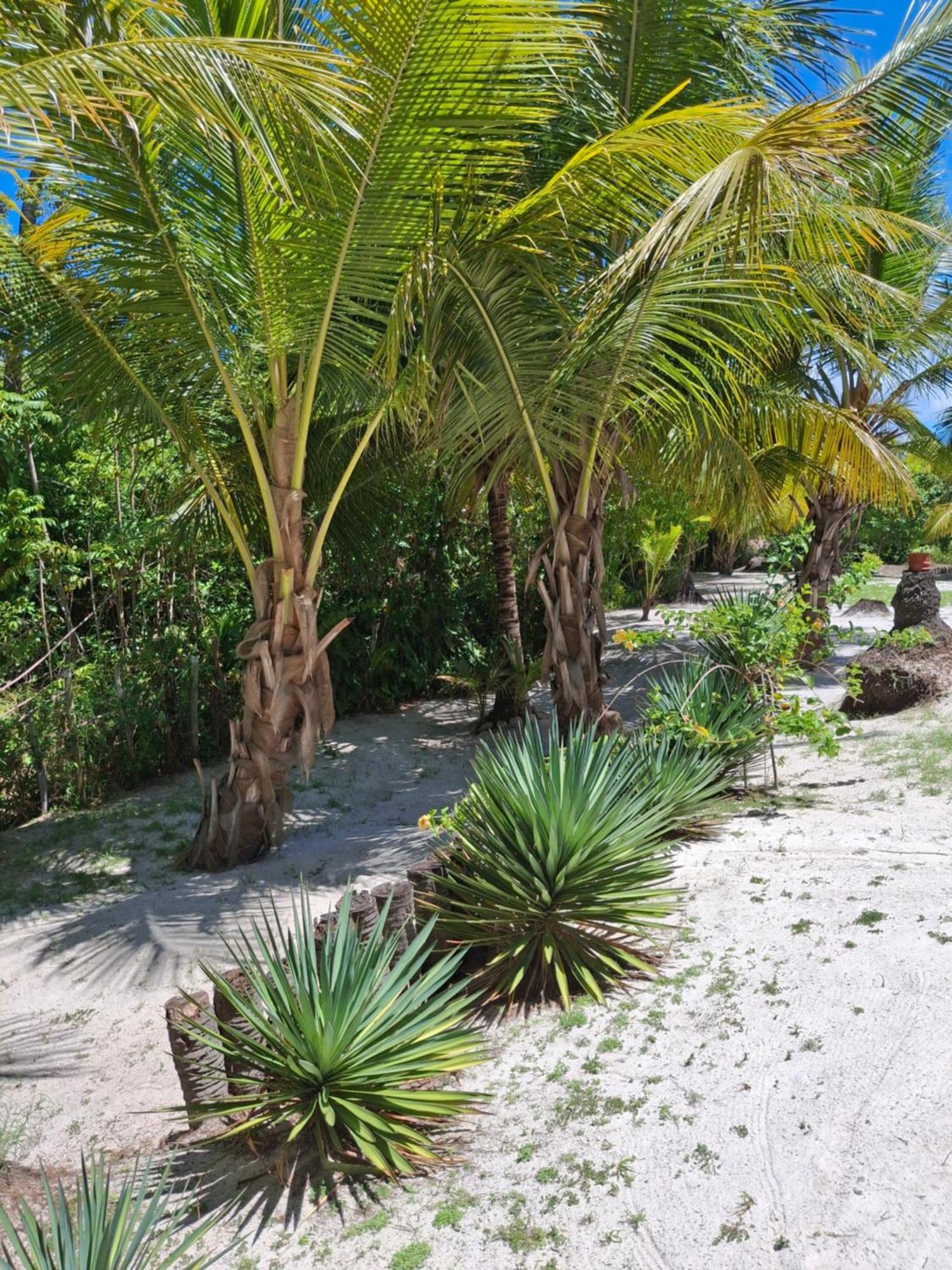 Recanto Verde - Praia De Santo Antonio Diogo Esterno foto